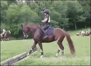 caballo,dudar,con la duda,saltar,valla muy baja,salto,hipica