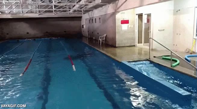 Así reaccionó una piscina en Argentina al terremoto de Chile Tunuyan,Argentina,Chile,terremoto,piscina,agua,temblor
