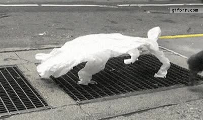 perro,salida de aire,plastico,levantarse,aparecer de la nada,ingenioso