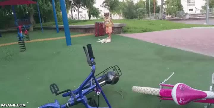 gato,niña,de boca,fail,caer,un poco de karma,pisar la cola