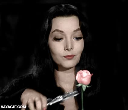amenaza entendida,cortar,rosa,la familia addams,morticia,el eufemismo es claro
