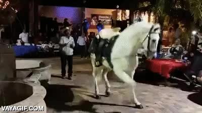 caballo,pasos,baile,excelente,swing,flow,bailar