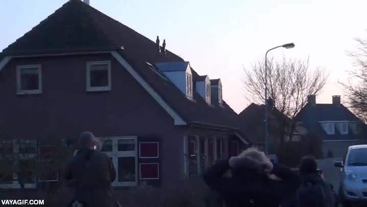 buho,sombrero,posarse,amaestrado