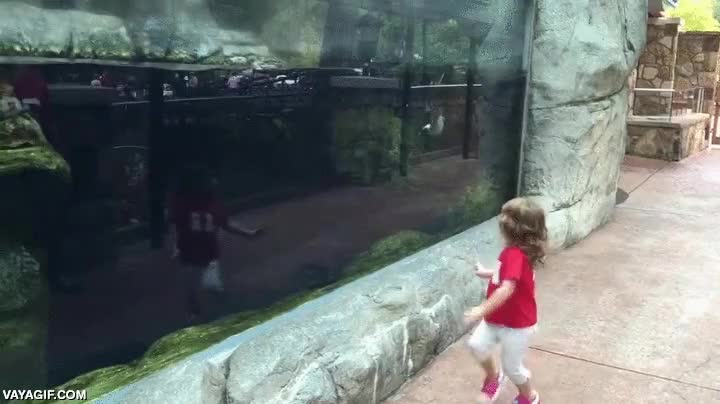 Enlace a Parece que esta niña ha encontrado un curioso compañero de juegos