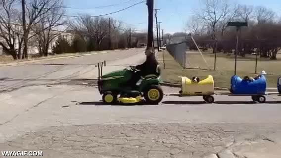 Enlace a Este señor de 80 años construye este trenecito para salir de aventuras con los perros de un refugio