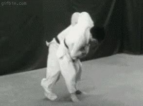 judo,tumbar,a un t&iacute;o m&aacute;s grande que t&uacute;,saltito,al suelo