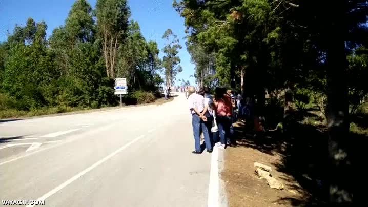 solucion,sofa,cuesta abajo,dos sofas,carretera,domingo