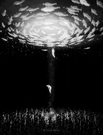 morir,muerte,paso al m&aacute;s all&aacute;,ve hacia la luz caroline