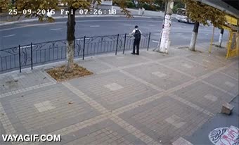 coche,accidente,suerte de la columna,farola,salvar,por poco,volver a nacer,chocar