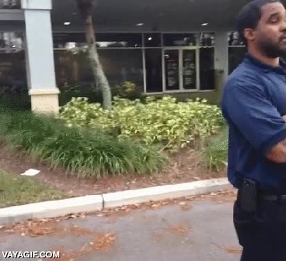 distraer,guardia de seguridad,como en los dibujos,ladr&oacute;n,por detr&aacute;s