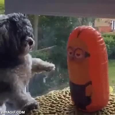 minions,perro,golpe,tentetieso,empujar,devolver el golpe