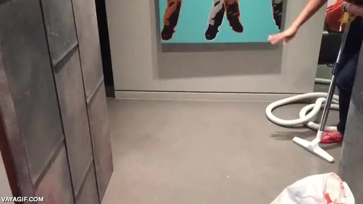 Este perro no se fía de las aspiradoras, por eso no les va a dar la espalda en ningún momento perro,desconfiar,aspiradora,miedo,asustado