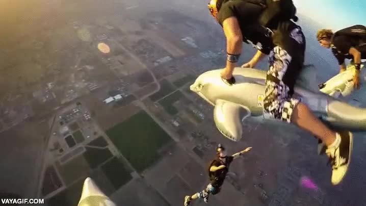 saltar,paracaidas,globo aerostatico,al vac&iacute;o,paracaidistas,delfines
