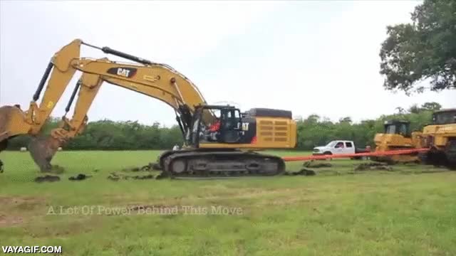 gigante,roble,arrastrar,mover,trasladar,gruas,potencia