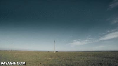 comer,morder,parasol,hambre,devorar,coche