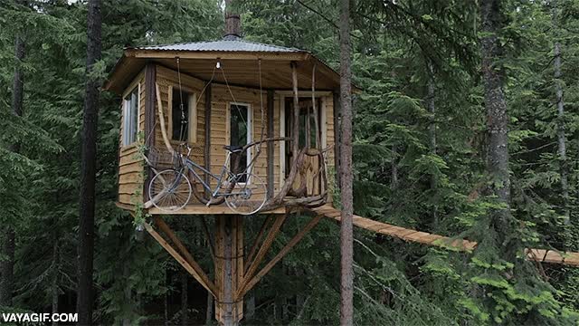 bicicleta,casa,&aacute;rbol,bajar,descender,se sube pedaleando