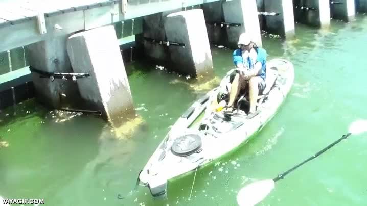 pescar,pez,gigante,pescador,big bass,barca,ahí no te cabe