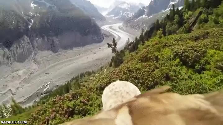 alpes,franceses,aguila,go pro,vista subjetiva,camara voladora