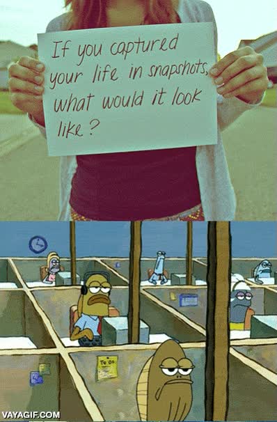 snapshots,fotografia,capturar,fotos,rutina,aburrimiento,rollo m&aacute;ximo