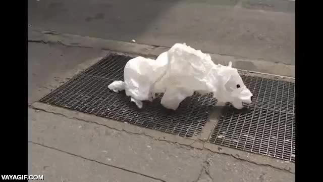 plastico,respiradero,salida de aire,bolsas,oso,da que pensar,oso polar