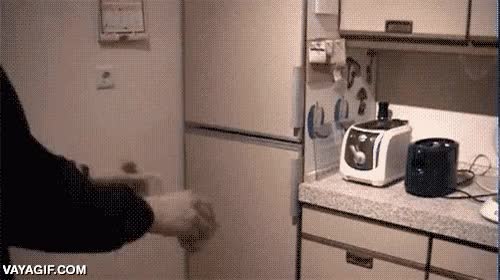 pan tostado,puntería,tostador,lanzar,clavados