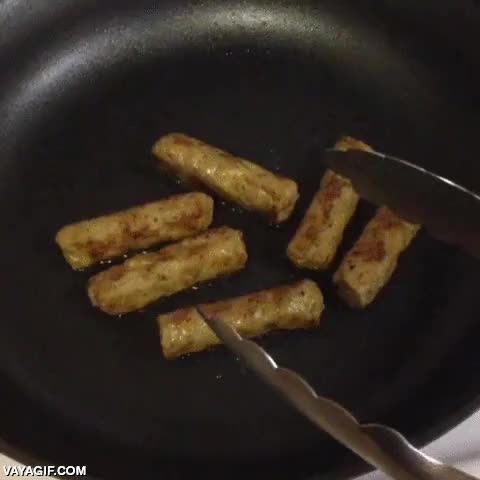 gato,pedir,compartir,cocina,a dos patas,suplica