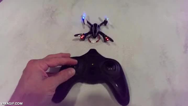 perro,dron,peque&ntilde;o,atrapar,troll,robar,juguete