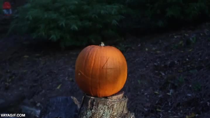 halloween,calabaza,fuego,explotar,tallada