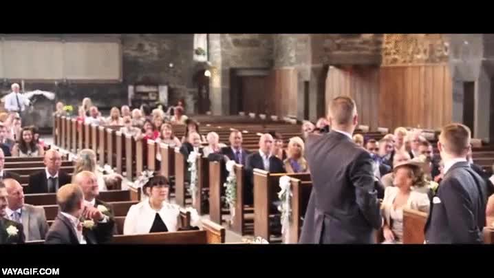 buho,lechuza,traer,anillo,boda,matrimonio,precioso