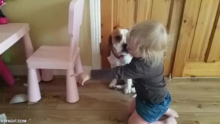 perro,ni&ntilde;o,abrazar,abrazo,plato,comida,tirar,parece que le eche la culpa