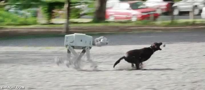 at-at,star wars,la mejor mascota del mundo,perseguir ardillas,caminar,cgi,jabba the pooh