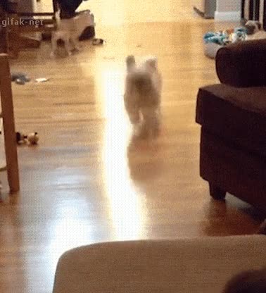 fail,chocar,medir mal,saltar,menos mal que el sof&aacute; es blandito