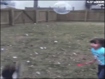 perro,saltar,buena punteria,burbuja,en tu cara ni&ntilde;a,a quien se le ocurre,locura