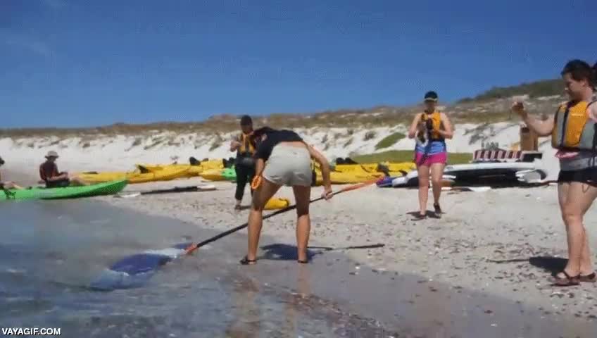 pez,remo,animal,extra&ntilde;o,pescado,varado en la orilla