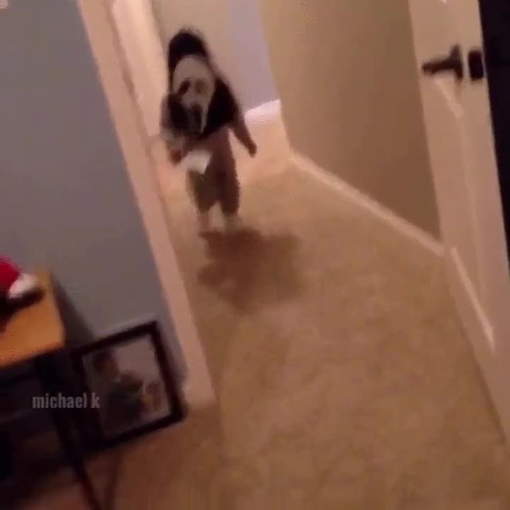 primeros pasos,no s&eacute; si es lo mejor para ense&ntilde;ar a un ni&ntilde;o tan peque&ntilde;o,scream,mascara,cuchillo de mentira