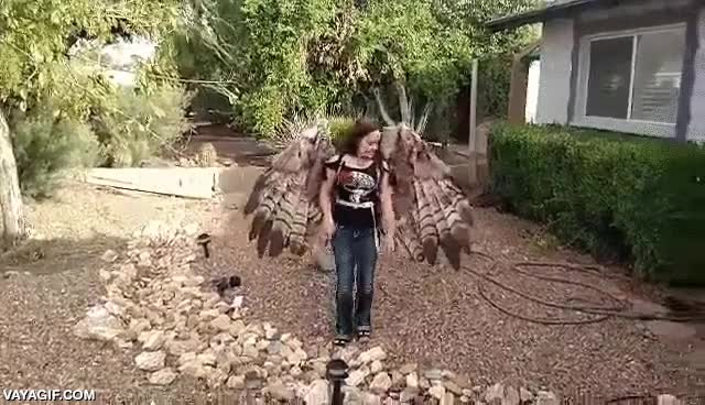 alas,plumas,dispositivo,feel like angel,que pasada