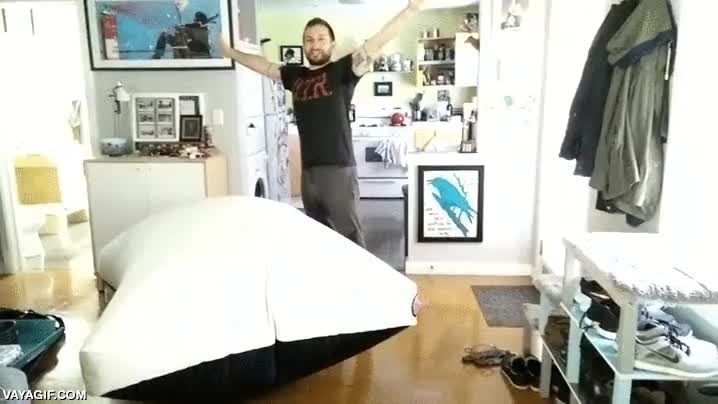 gato,espera a ver el final,cojin,pedorreta,not impressed