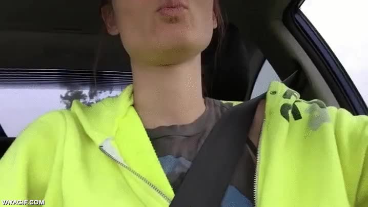 as,manga,gato,gatito,escondido,tampoco parece muy c&oacute;modo,y encima conduciendo,al menos as&iacute; no se puede y est&aacute; calentito