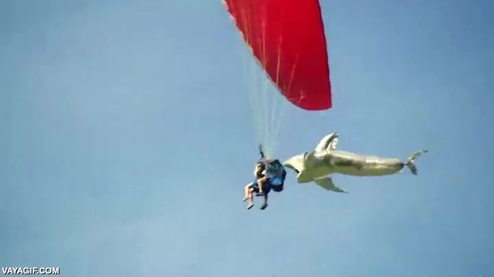 parapente,tiburon,perseguir,paracaidas