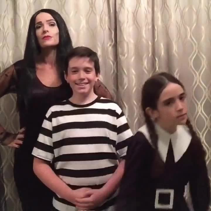 no ponerse de acuerdo,falta de comunicación,la familia addams,angry birds
