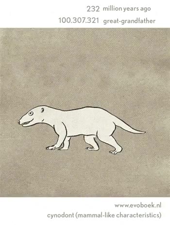 evolucion,al reves,darwin,animada