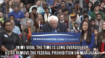 habla de marihuana,mitin electoral,parece que le interesa,marijuana,berniesanders.com