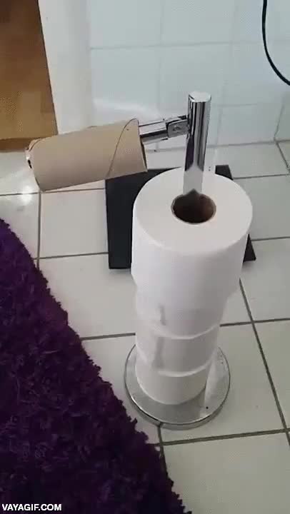 papel higienico,papel del water,cambiar,soporte,el m&aacute;s rapido del mundo