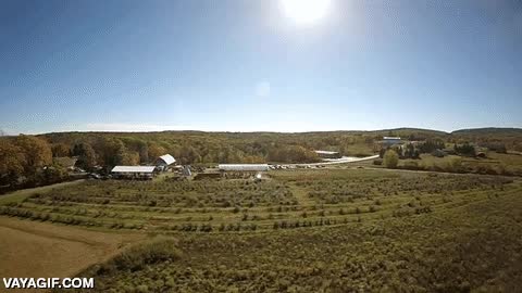calabaza,voladora,atacar,320 km/h,golpear,caer,al suelo