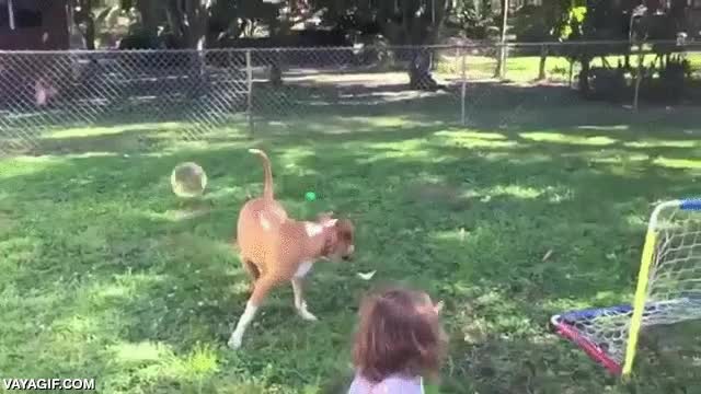 perro,jugar,burbujas,niña,caer encima,fail,su cara es epica