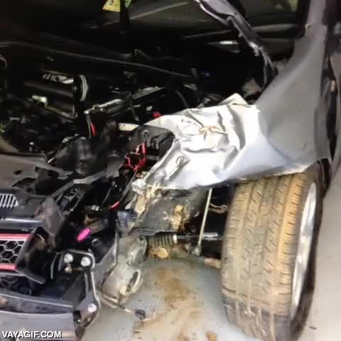 perro,conductor,coche,accidente,su cara lo dice todo,est&aacute; triste,sem&aacute;foro