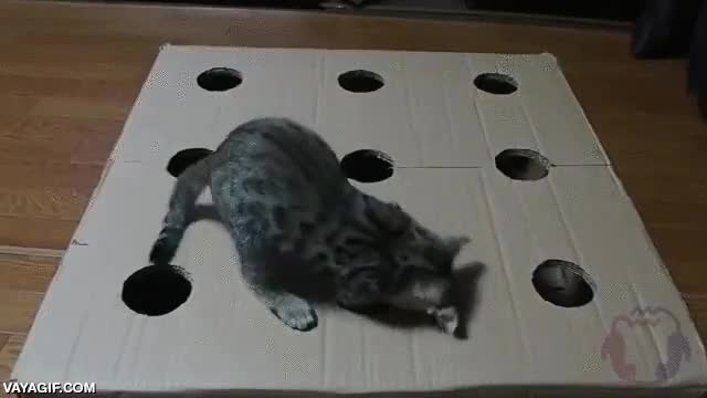 Enlace a Whack-A-Cat, como el juego de los topos pero mucho más adorable