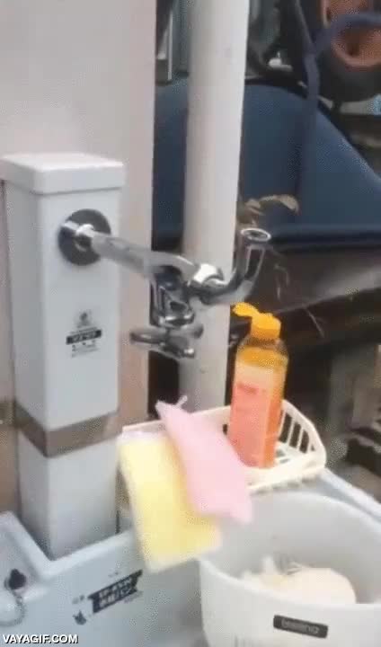 fontanero,grifo,al revés,abrir,agua,fail,trolleada o por hacer la gracia,el agua sale