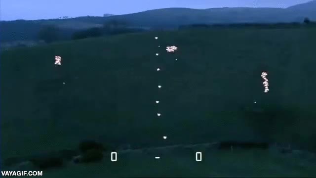 pong,jugar,videojuego,ovejas,perro pastor,perro