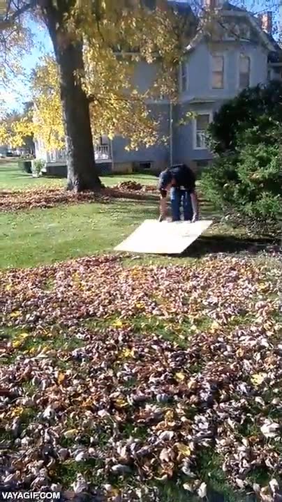 ingenio,bien pensado,plancha,lamina,madera,arrastrar,hojas,efectividad